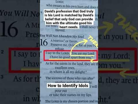 How to Identify Idols (Psalm 16:2)