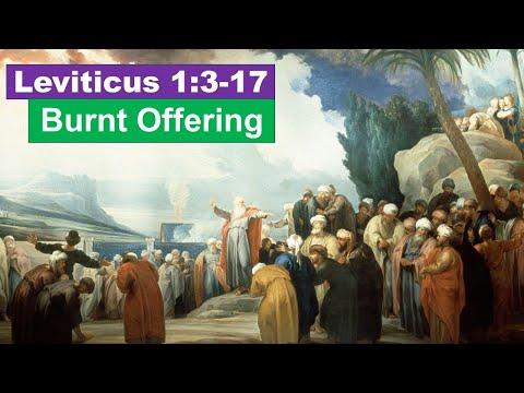 Leviticus 1:3-17 Burnt Offering Devotion