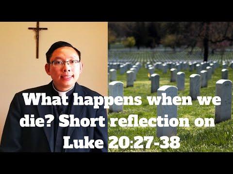 What Happens when we die? | A short reflection on the gospel of St. Luke 20:27-38
