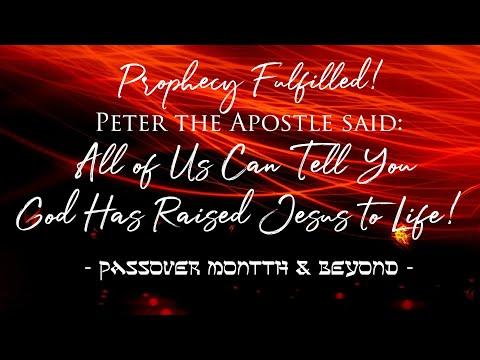 Daily Scripture - Acts 2:29‭-‬32 - Peter: All of Us Can Tell You that God has Raised Jesus to Life!