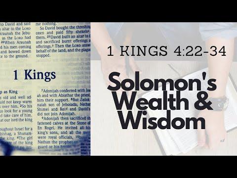 1 KINGS 4:22-34 SOLOMON'S WEALTH AND WISDOM (S22 E8)
