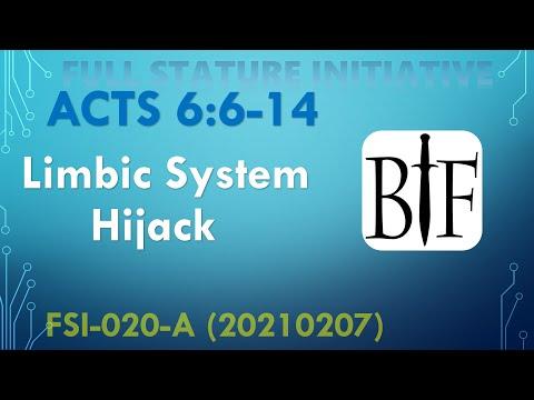 Limbic Hijacking and Stephen - Acts 6:6-14 - FSI-020-A