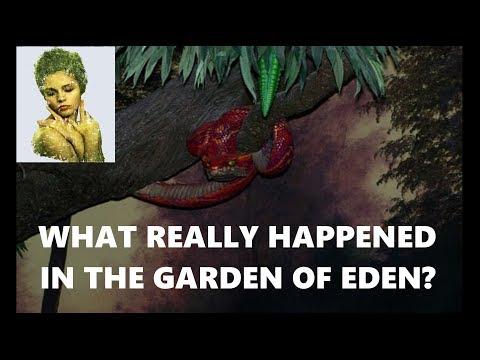 Genesis 3:1 through 3:24 - The Sin in the Garden | Strong Bible Study