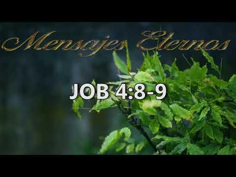 Job 4:8-9