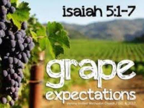 Reflections on Isaiah 5:1-7
