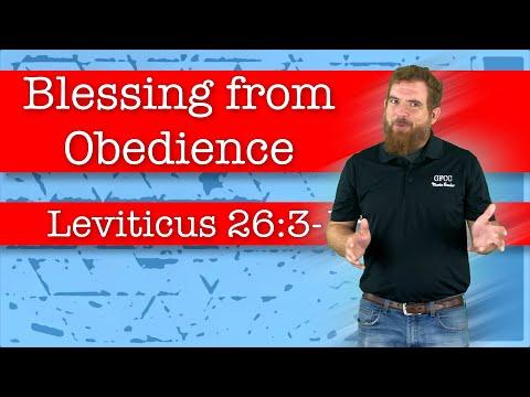 Blessing from Obedience - Leviticus 26:3-13
