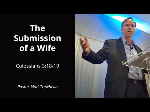 Colossians 3:18-19 The Submission of a Wife