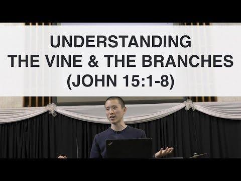 The Vine and The Branches (Explanation of John 15:1-8) | Victor Tey (23-Oct-2016)