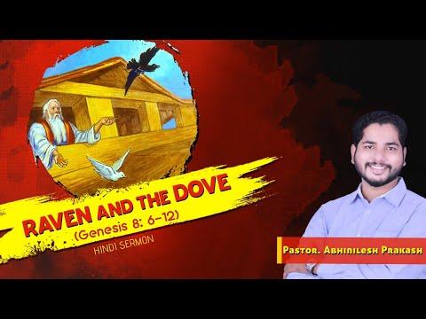 Raven and the Dove | Noah's Ark | Genesis 8:6-12 | Ending of the Flood l Why Noah  Send Dove & Raven