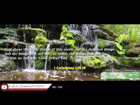 1 Corinthians 1:28-29 | Daily Word_30/10/2021 | Whatsapp Status