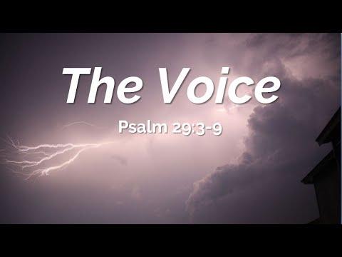 The Voice (Psalm 29:3-9) - FJCC Sunday Worship - August 09, 2020