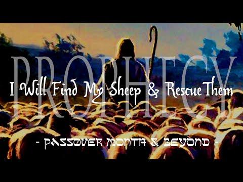 Daily Scripture - Ezekiel 34:11-16 - Jesus Prophecy - I Will Find My Sheep & Rescue Them