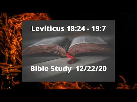 Leviticus 18:24 - 19:7