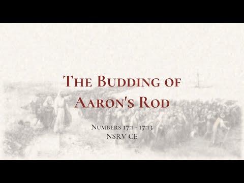 The Budding of Aaron's Rod - Holy Bible, Numbers 17:1-17:13