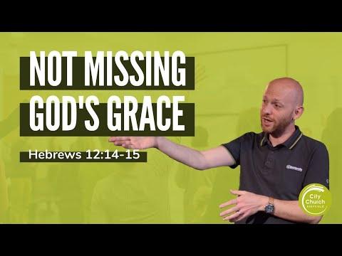Not Missing God's Grace - A Sermon on Hebrews 12:14-15