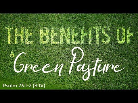 The Benefits of a Green Pasture | Dr. E. Dewey Smith | Psalm 23:1-2 (KJV)