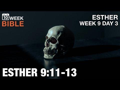 Kill Haman's Sons | Esther 9:11-13 | Week 9 Day 3 Study of Esther