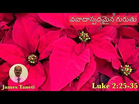 వివాదాస్పదమైన గురుతు/Luke 2:25-35/Second Sunday after Christmas/Telugu Christian Sermons