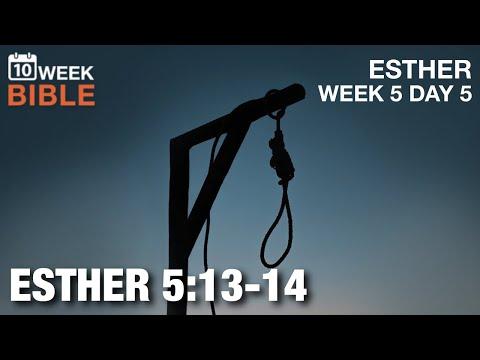 Hang Mordecai | Esther 5:13-14 | Week 5 Day 5 Study of Esther