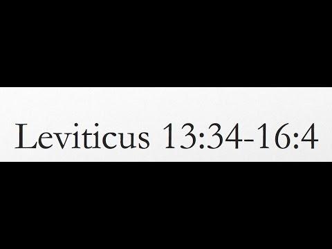 Reading of the KJV Bible (Leviticus 13:34-16:4)