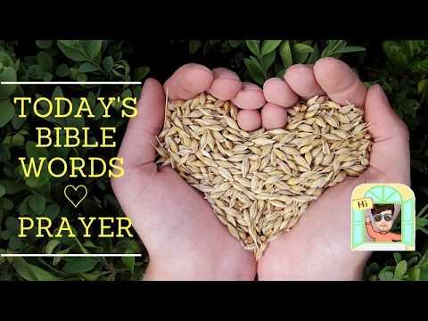 Today's Bible Words ♡ Prayer (Psalms 69:29, NIV), 20200522