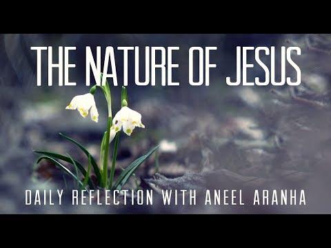 Daily Reflection with Aneel Aranha | Matthew 12:14-21 | July 20, 2019