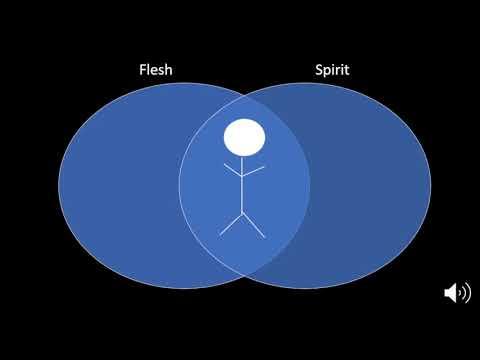 Video Devotion - Romans 8:5-14 - Flesh Verses Spirit