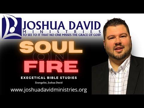 Soul On Fire Exegetical Bible Studies John 1:19-52 KJV