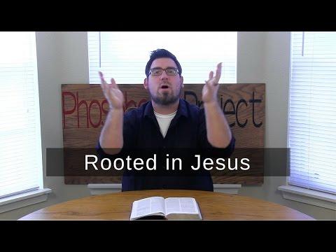 Rooted in Jesus | Colossians 2:7 | One Verse Devotional