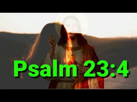 Psalm 23:4  Bible Quotes & WhatsApp Status. Most Inspirational Quotes of All Time