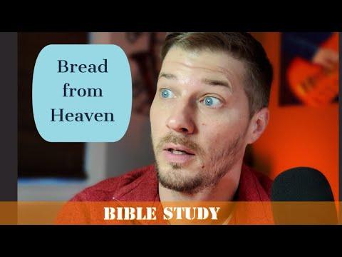 the Real Bread of Life || Bible study about Manna || Exodus 16:16-35