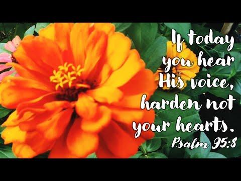 PSALMS 95:1-2, 6-7, 8-9 | IF TODAY YOU HEAR HIS VOICE, HARDEN NOT YOUR HEARTS #Psalm95:8 #YourLove
