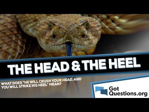 What does Genesis 3:15 mean that “he will crush your head, and you will strike his heel”?