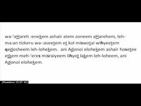 SHEMA - Numbers 15:37-41 | HEBREW Transliteration