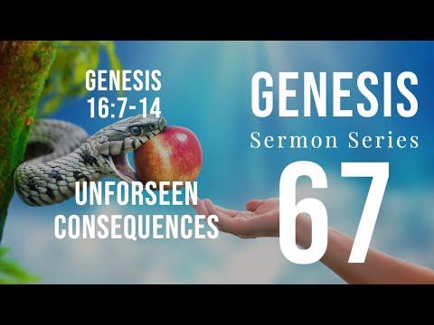 Genesis Sermon Series 67. Unforeseen Consequences. Genesis 16:7-14. Dr Andy Woods