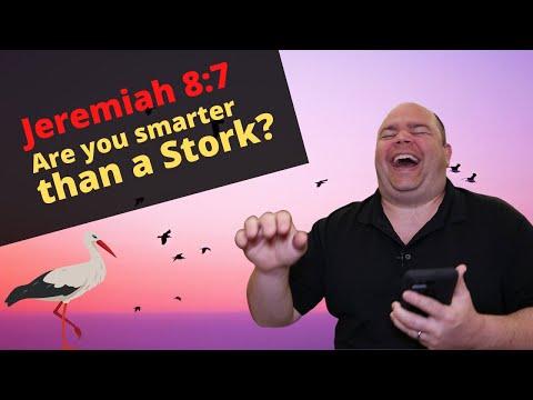 Jeremiah 8: 7  Are You Smarter than a Stork?