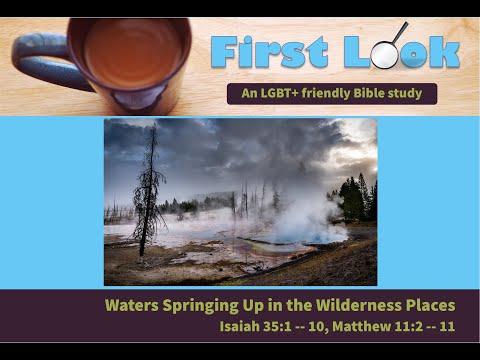 First Look Bible Study - Isaiah 35:1 - 10, Matthew 11:2 - 11 (Advent III)