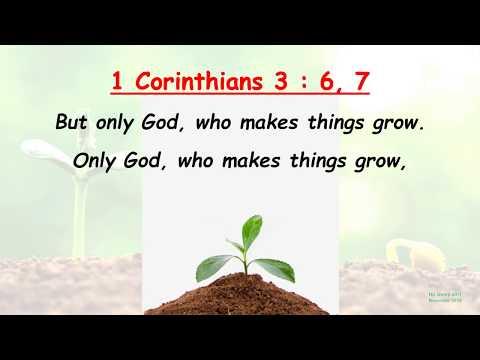 1 Corinthians 3 : 6, 7 - I planted the seed - w accompaniment (Scripture Memory Song)