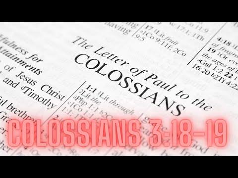 As believers, how should we then live? Colossians 3:18-19