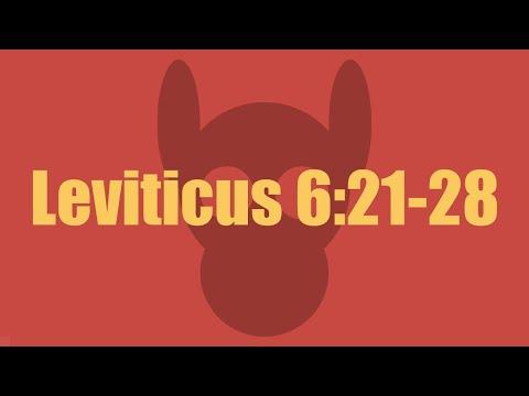 Leviticus 6:21-28