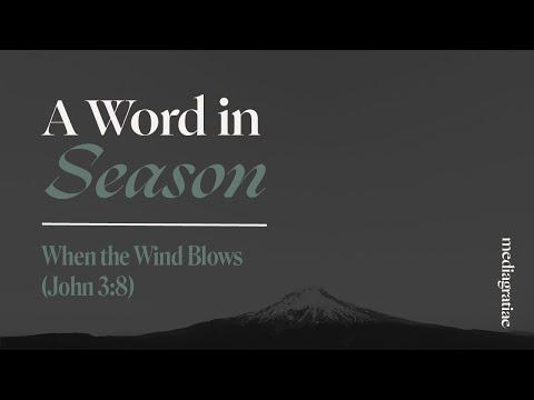 A Word in Season: When the wind blows (John 3:8)