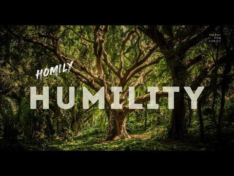 Homily for the 22nd Sunday in Ordinary Time ( Year C ) August 28, 2022 |  Luke 14:7-14 ( Humility )