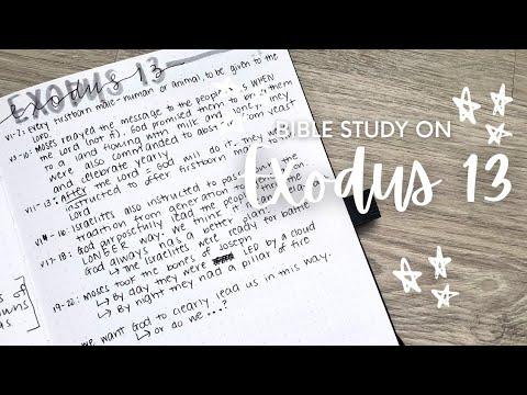 Bible Study on Exodus 13 | Study the Whole Bible with Me