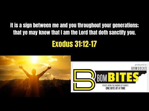 BOM-BITES Episode #541 - Exodus 31:12-17