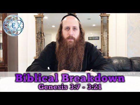 Biblical Breakdown with Rav Dror, Genesis 3:7 - 3:21