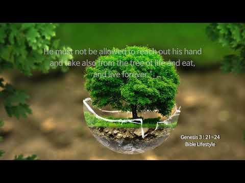 [The Bible Lifestyle with Shincheonji church] Genesis 3: 21~24