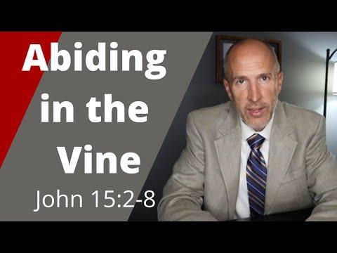 Abiding in the Vine | John 15:2-8