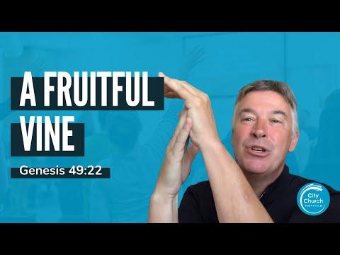 A Fruitful Vine - A Sermon on Genesis 49:22
