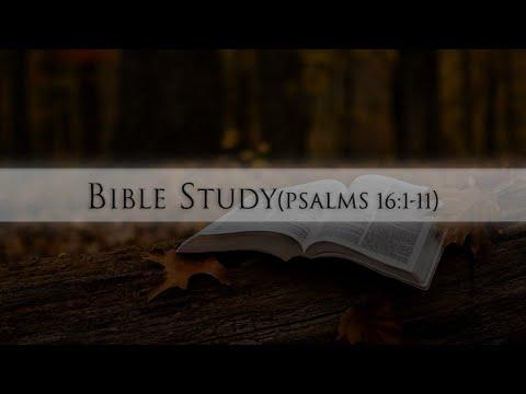 Bible Study(Psalms 16: 1-11)