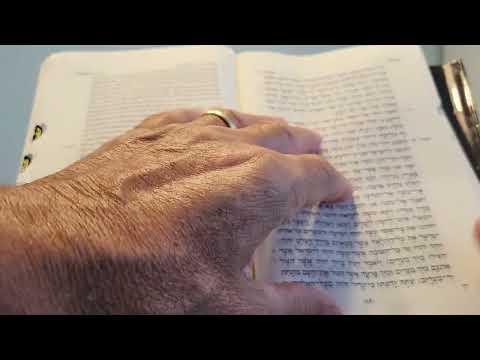 Daily Bible Reading - Exodus 16:28 - 19:1